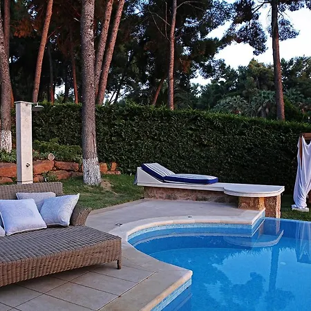 Villa Greek Hygge House Sani (Chalkidiki)